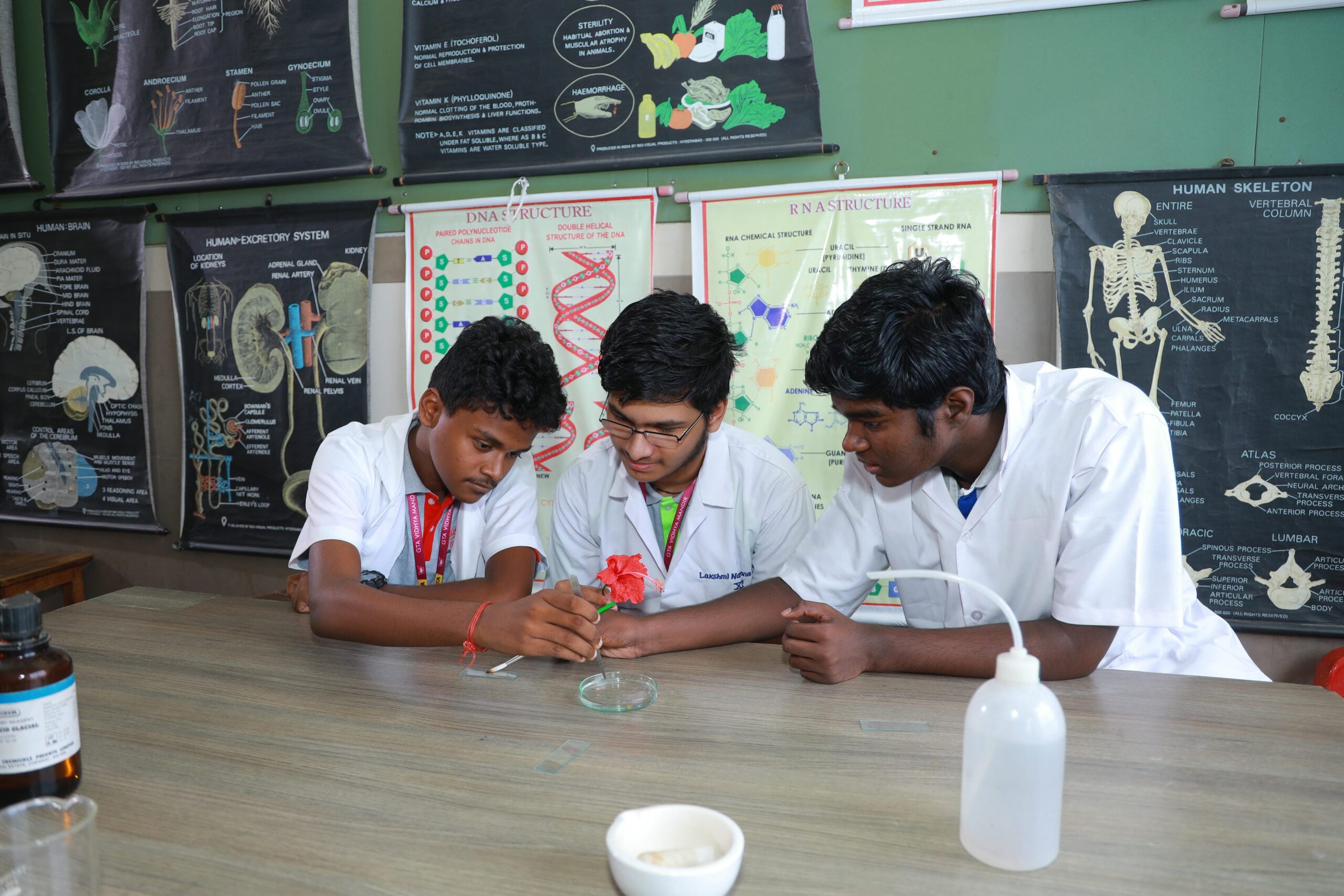 Biology Lab 1