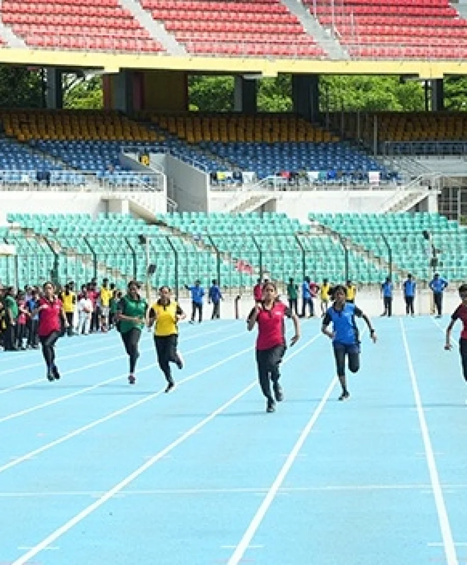 home sports